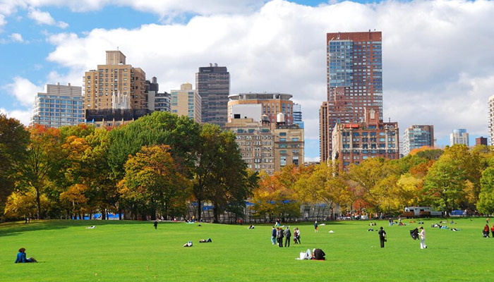 Central Park view of NYC city