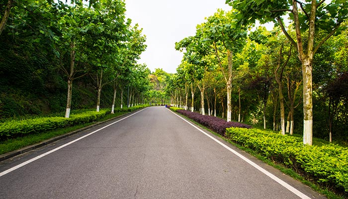 beautiful street view in Congress Park