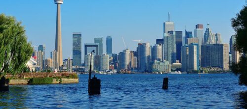 toronto skyline from park