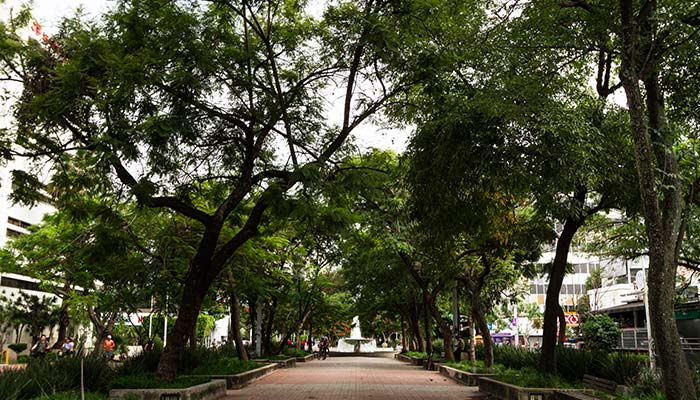 street view of Cleveland Park