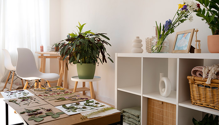 organized living room